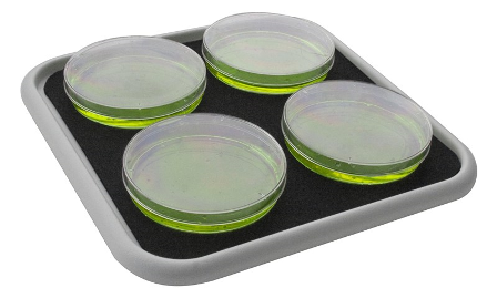 biopp_4 biopp_4